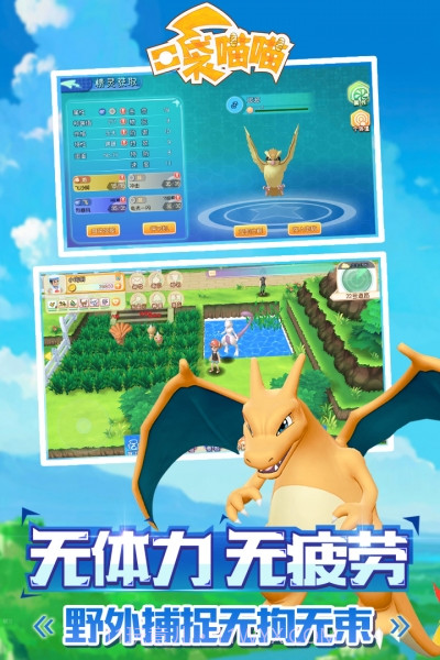 口袋喵喵最新版截图5 口袋喵喵最新版截图5