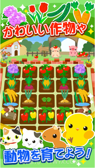 小鸡与农场截图2