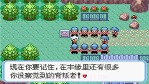 口袋妖怪蛇纹木截图4