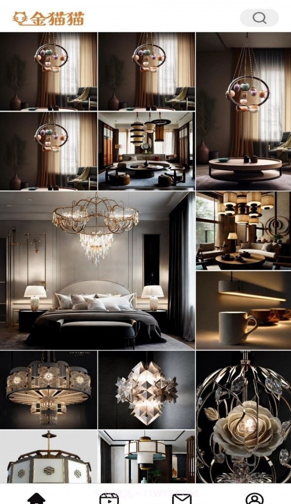 金猫猫截图3 金猫猫截图3