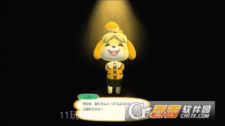 动物之森口袋露营最新版截图2