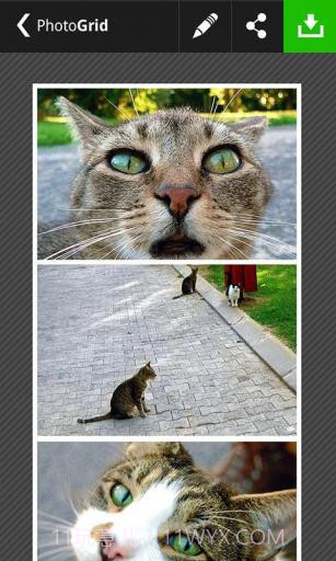 相片组合PhotoGrid截图6 相片组合PhotoGrid截图6