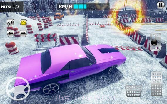 完美开车驾驶截图2