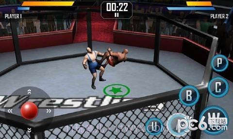 真实摔跤截图4