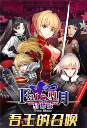 Fate型月截图3