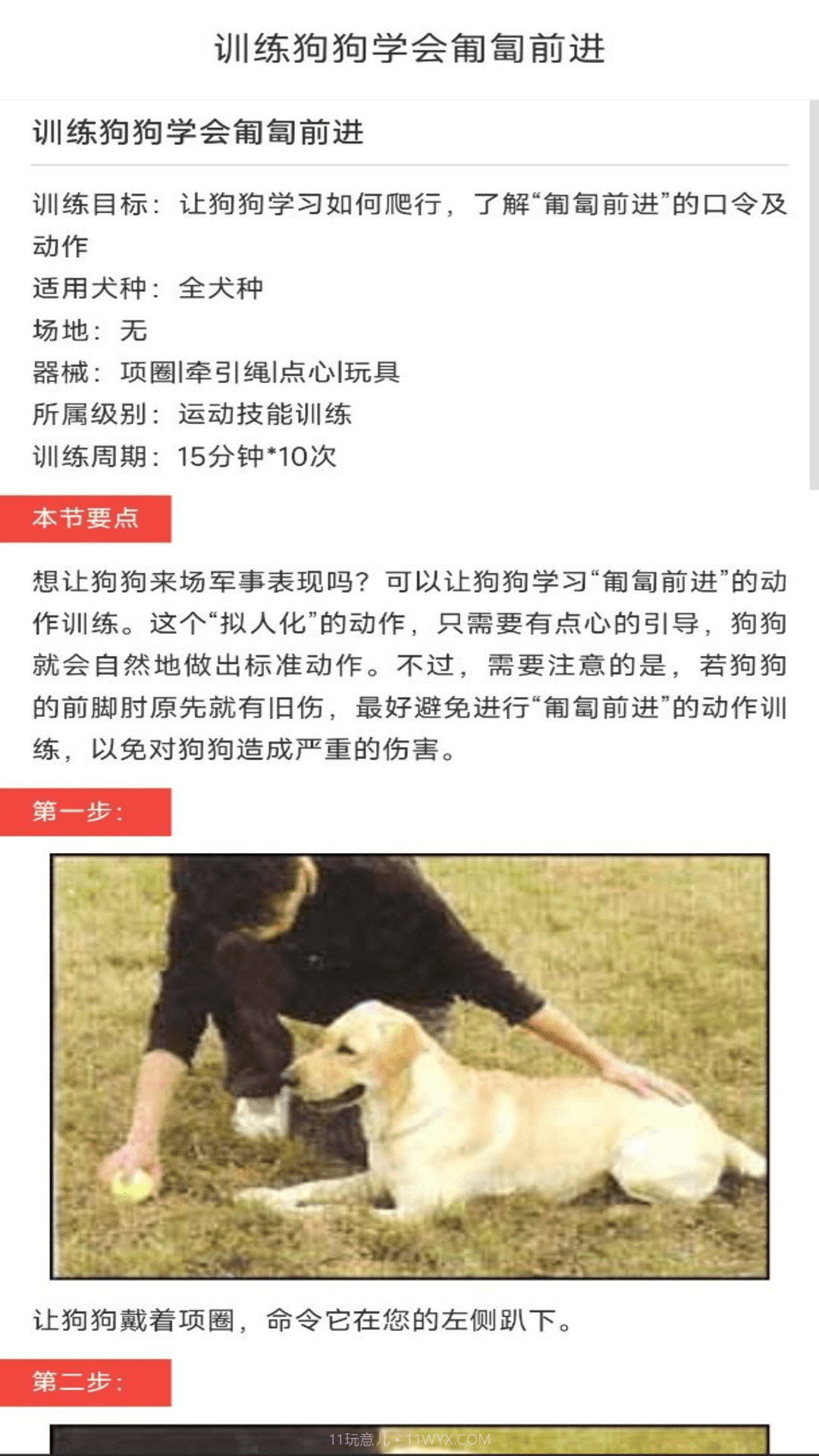 动物对话翻译器中文版免费安卓截图2