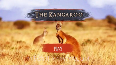 袋鼠模拟器2020截图1 袋鼠模拟器2020截图1