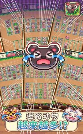 动物大风吹截图3 动物大风吹截图3