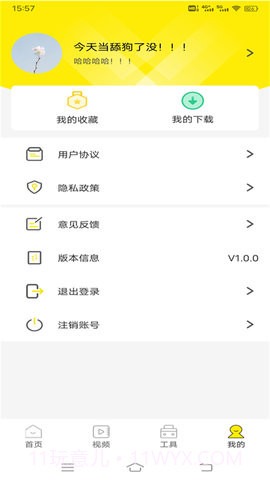 白狐壁纸视频截图1