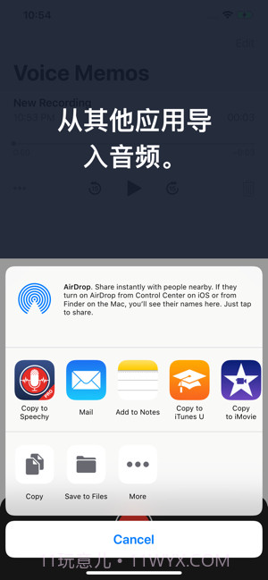 语音转换文字截图3