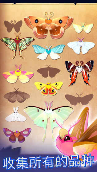 彩翼之星夜starlight截图1