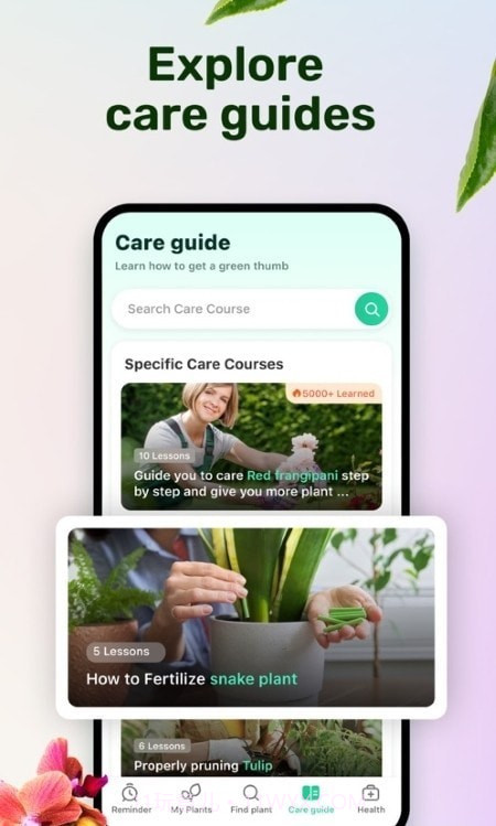 植物养护指南截图3 植物养护指南截图3