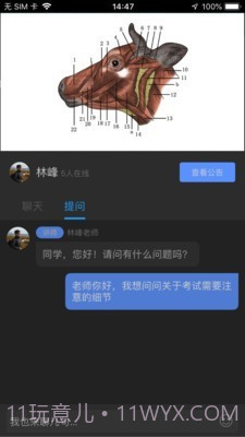 兽课网截图1