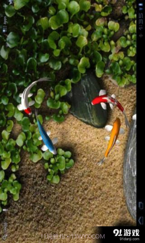 锦鲤3D动态壁纸截图2