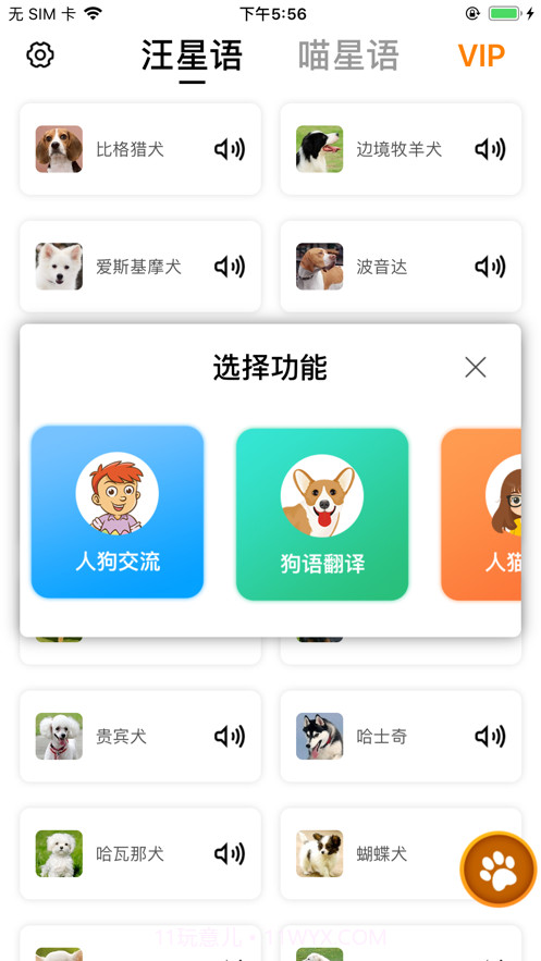 汪星人喵星人交流截图1 汪星人喵星人交流截图1