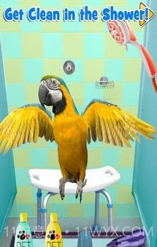 新生宠物兽医截图1