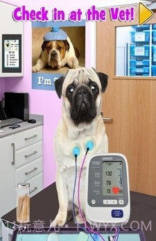 新生宠物兽医截图4