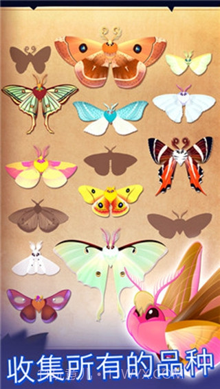 彩翼之星夜截图3