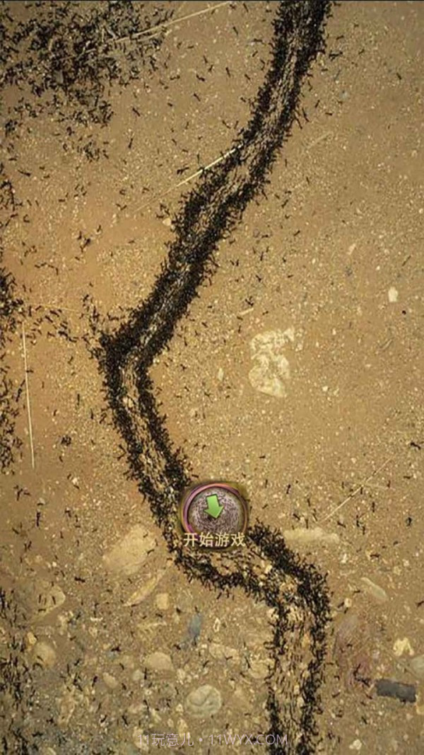 地下蚁国蚁族崛起截图3