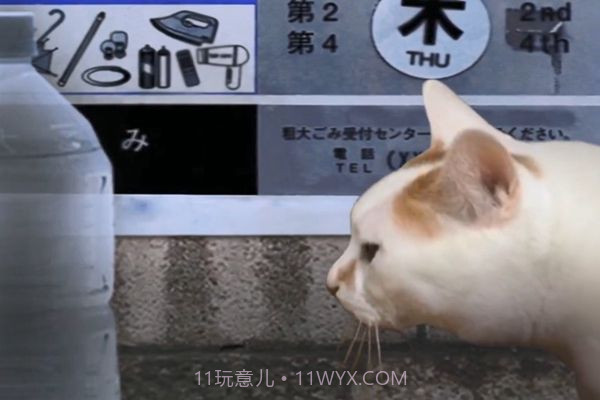 猫的一天怪奇谭（全剧情存档）完整版截图2