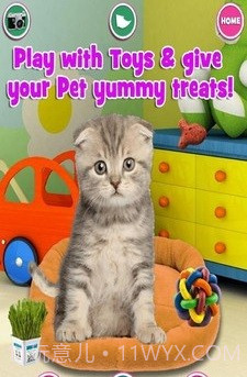 新生宠物兽医截图3