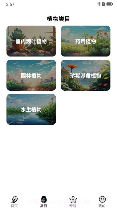 植界探索截图1
