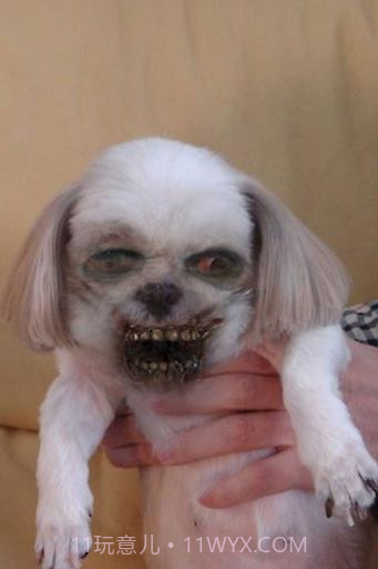 变脸僵尸截图5 变脸僵尸截图5