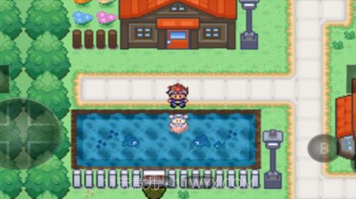 GBA宝可梦口袋暴龙(内置菜单)截图3