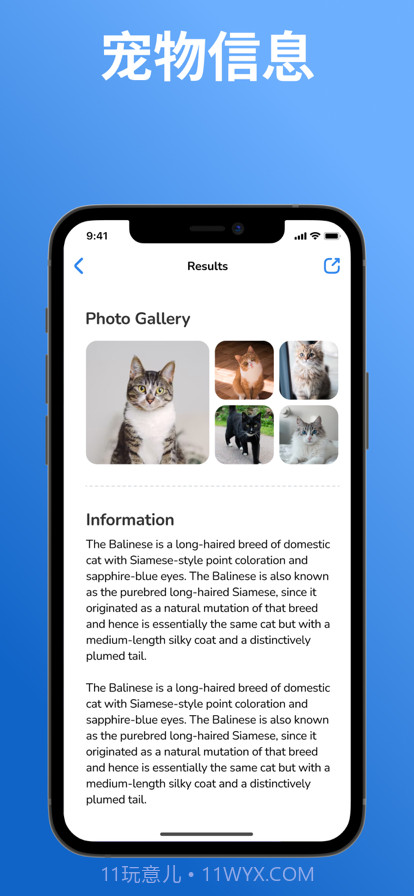 猫品种标识符:猫扫描仪截图3