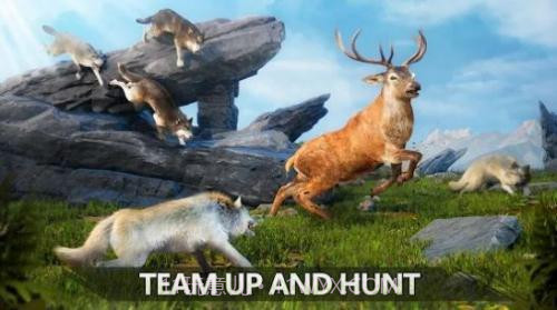 狼族崛起中文版截图3 狼族崛起中文版截图3