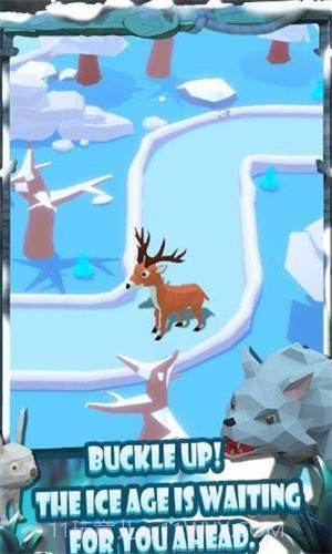 动物追逐赛截图3