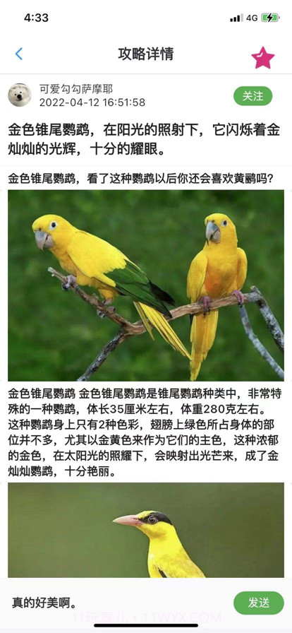 宠爱体截图4 宠爱体截图4