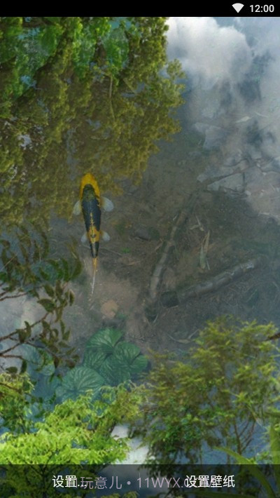 鱼池动态壁纸截图4 鱼池动态壁纸截图4