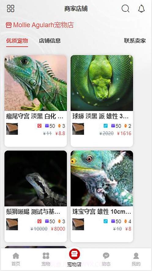 搜爬截图8 搜爬截图8