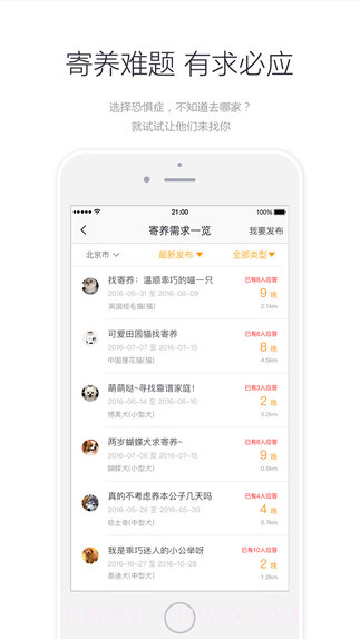小狗在家-宠物寄养截图5