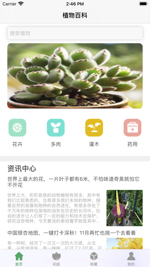 口袋绿植截图2