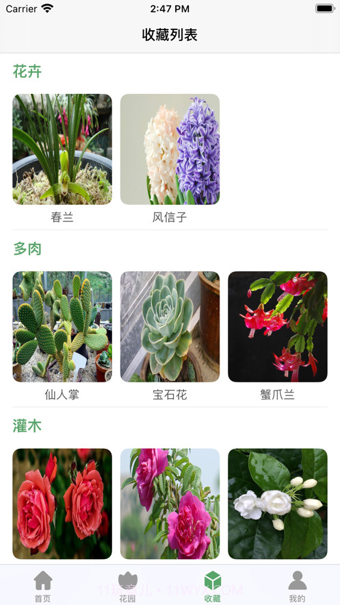 口袋绿植截图8