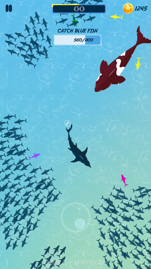 饥饿的鱼喂养和成长截图3
