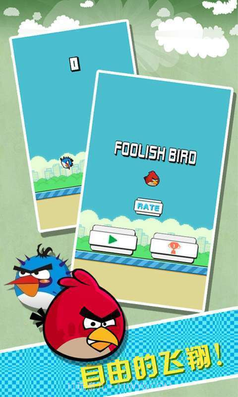 Foolish Bird截图1