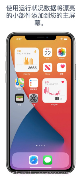Hidgets健康小部件截图2