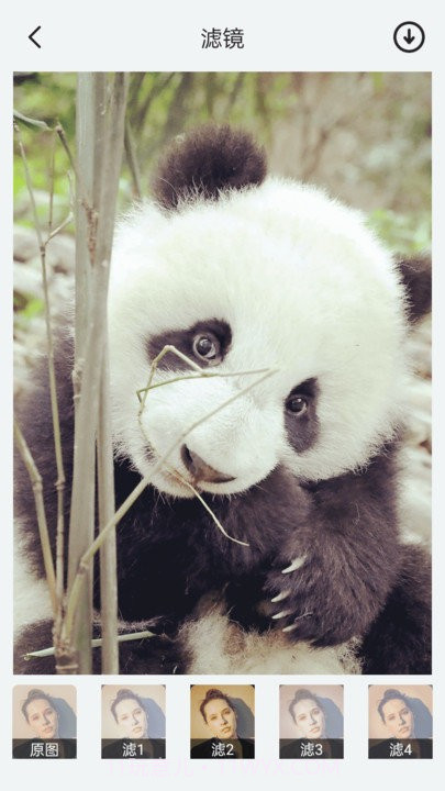 神奇相机截图4 神奇相机截图4