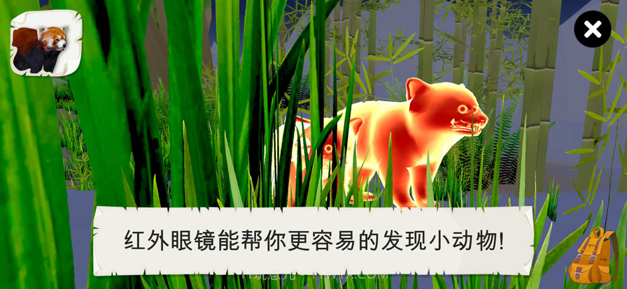 野生动物截图6