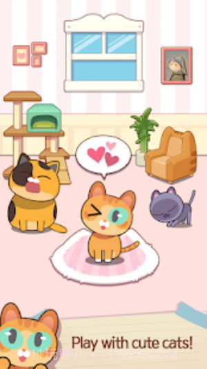 猫咪弹钢琴截图3