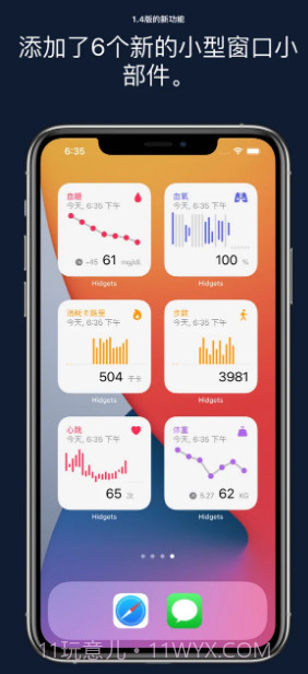 Hidgets健康小部件截图1