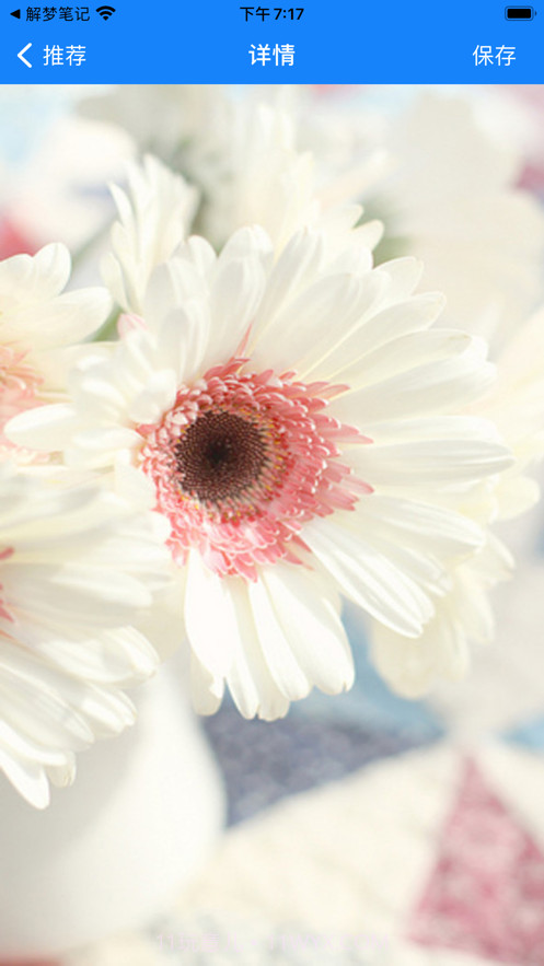 小海豹壁纸截图4