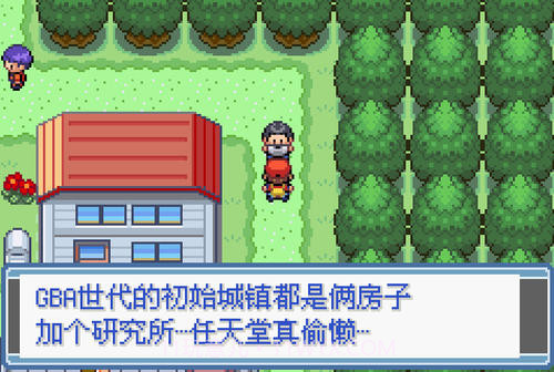 口袋妖怪：永恒之焱截图6