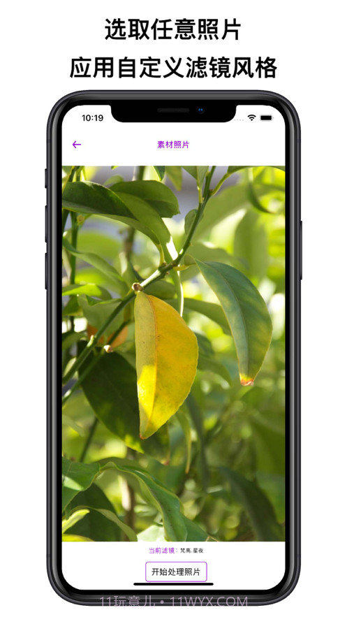 艺术家滤镜截图1 艺术家滤镜截图1