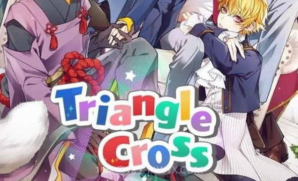 Triangle cross截图3