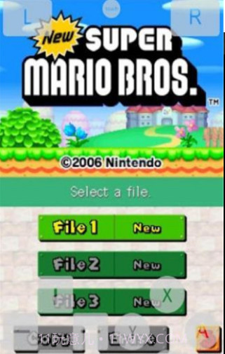 NDS模拟器截图3 NDS模拟器截图3