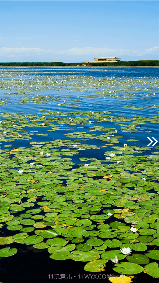 博湖好地方截图2